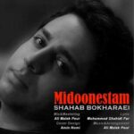 Shahab Bokharaei Midoonestam